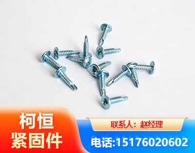 衡水华司钻尾丝