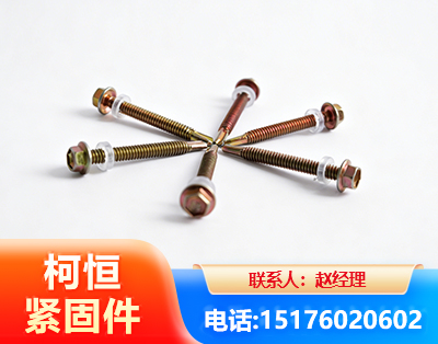 衡水六角钻尾丝