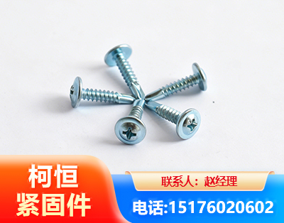 衡水华司钻尾丝