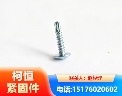 衡水华司钻尾丝