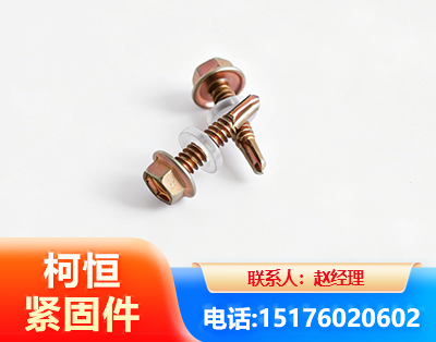 衡水六角钻尾丝